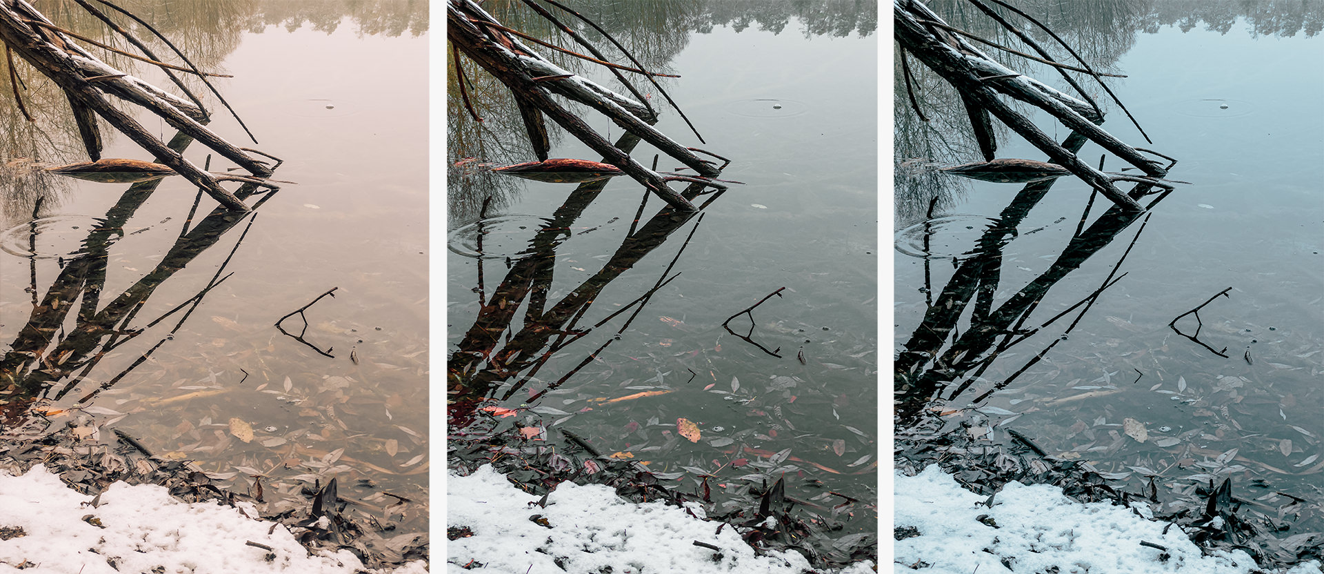 ProCamera iPhone ProRAW Editing Flexbility Editing an Apple ProRAW Photo