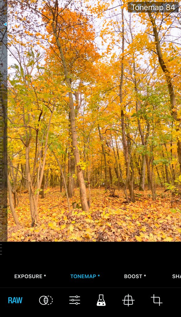 ProCamera ProRAW Editing ToneMap Tool Screenshot ProCamera ProRAW Editing Suite Screenshot